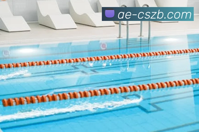 彩神争霸发展历程